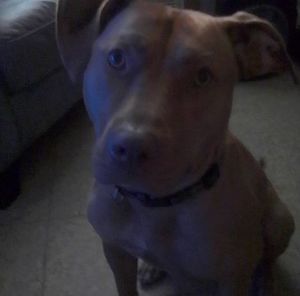 Meet your Posher, Denise